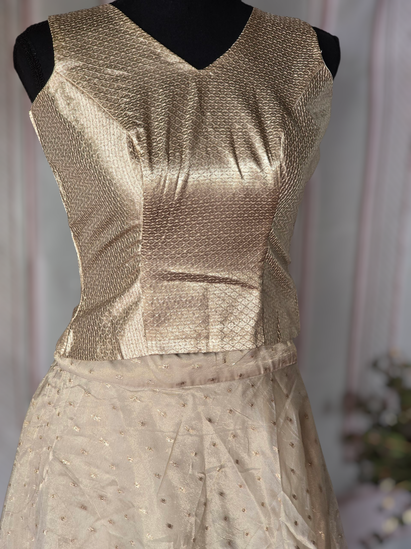 Golden beige skirt and top (28-36 chest size)