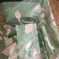 Turquish organza saree (sage green) with applique work- stitched blouse