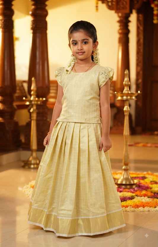 Onam skirt and top ( size in the description )