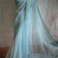 Soft organza (powder blue) saree with beads/stone work