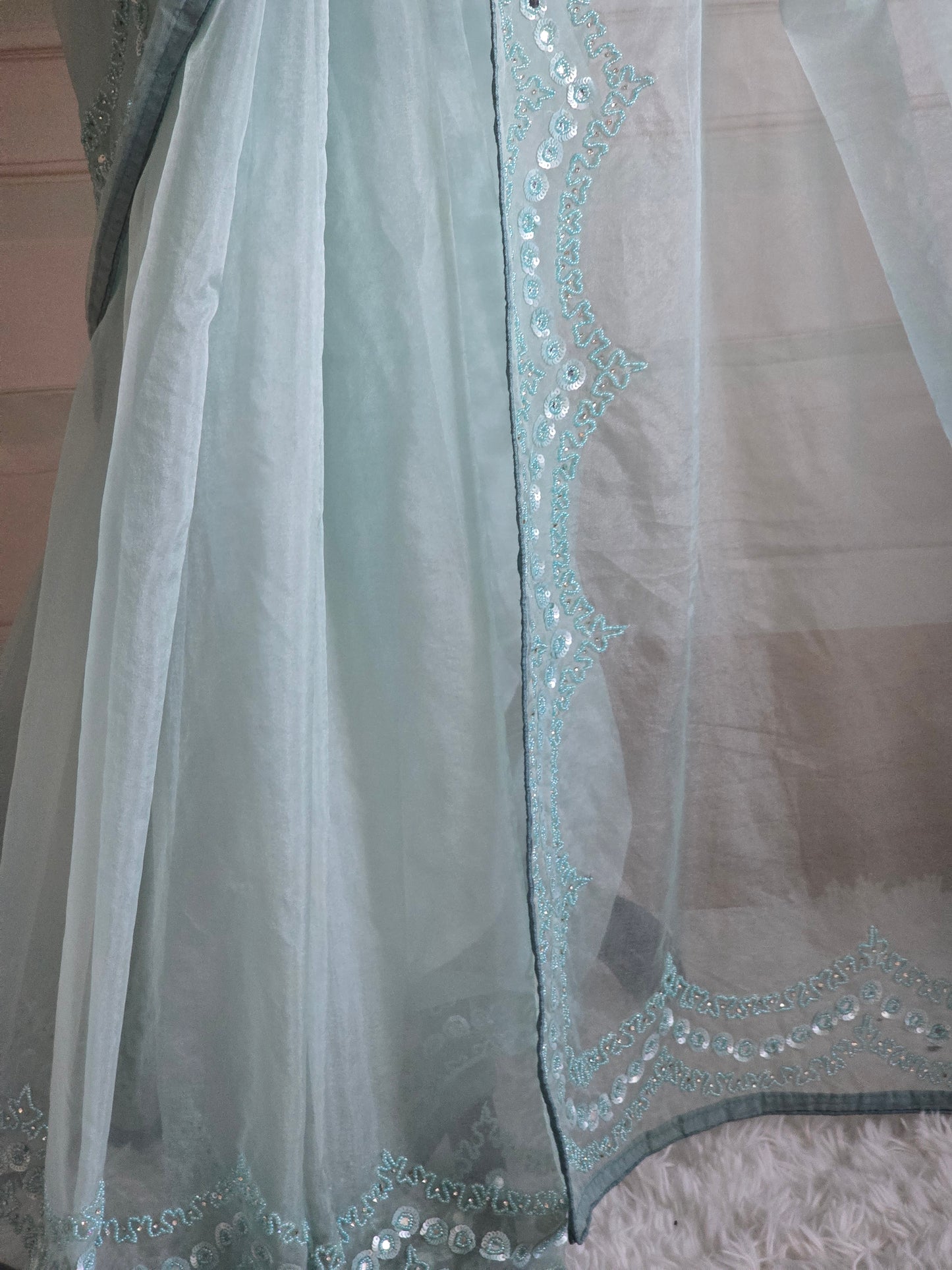 Soft organza (powder blue) saree with beads/stone work